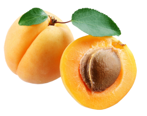 Apricot PNG-12640